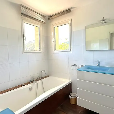 Taglio Rosso Di Santa Lucia *