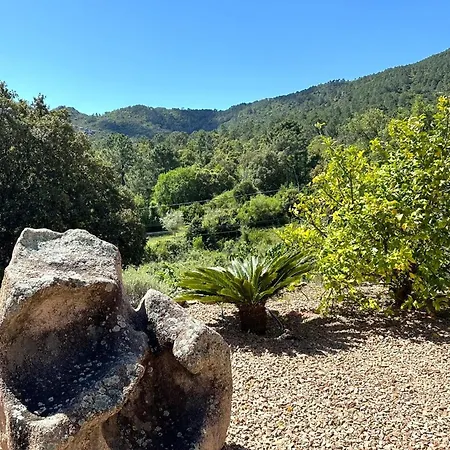 Taglio Rosso Di Santa Lucia Villa *